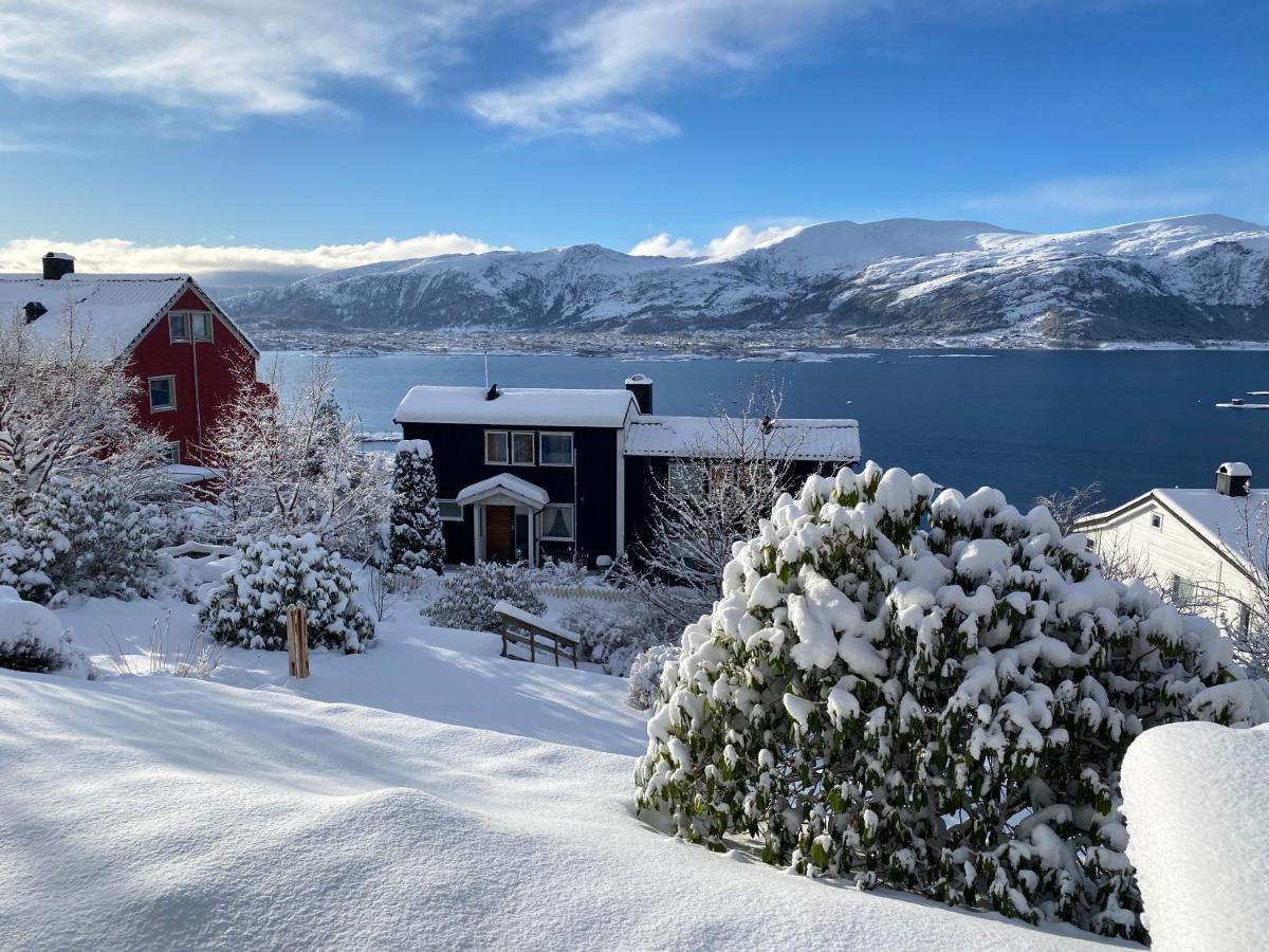 Great Place With View To The Mountains And Fjord Ålesund Exteriör bild